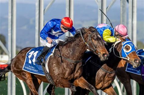 queen of the south stakes|Queen Of The South Stakes Tips, Betting Odds, Past Winners .